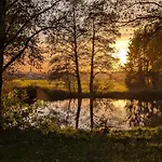 Auszeitoase - Park, Billard, Sauna - Ideal Fuer Familientreffen Und Messe Nuernberg